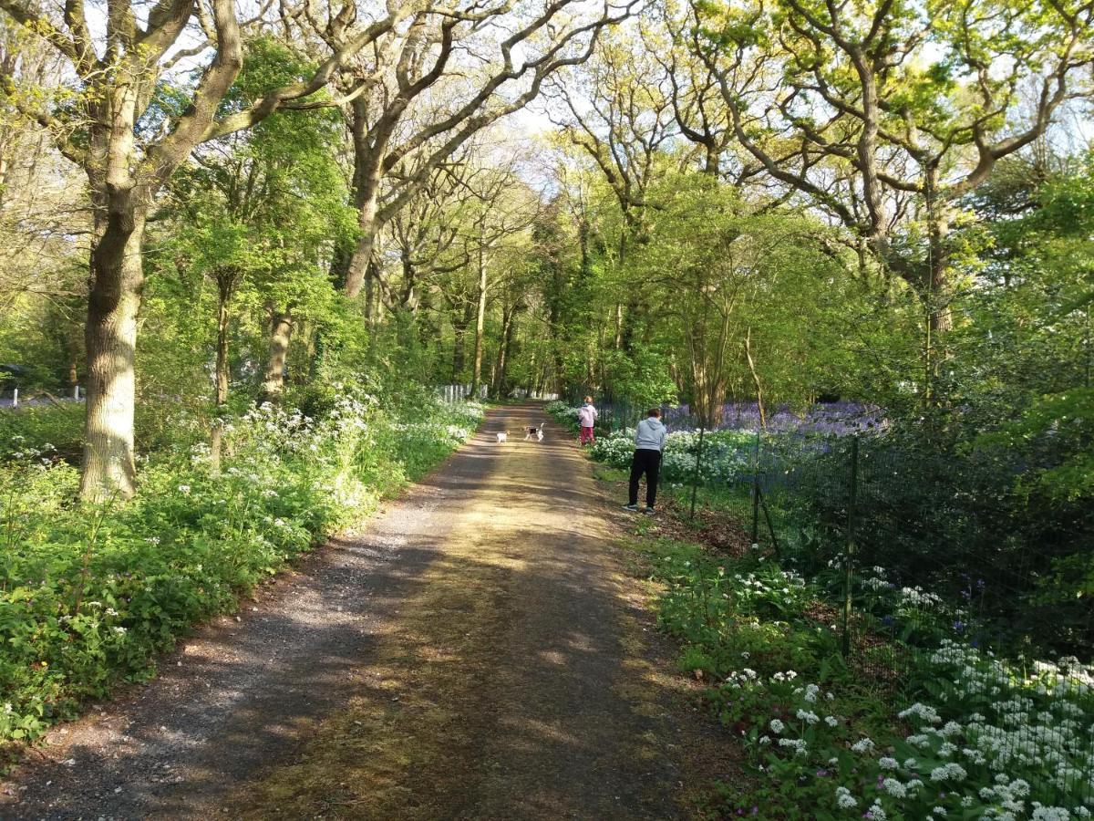 La Parenthese Bois De Cise Apartment Ault Luaran gambar